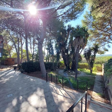 Chalet Rustico Con Piscina Y Barbacoa, Valencia Torrent  Eksteriør billede